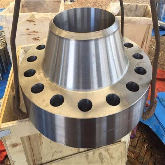 China Manufacture Forged Weld Neck Stainless Steel/Carbon Steel Flange