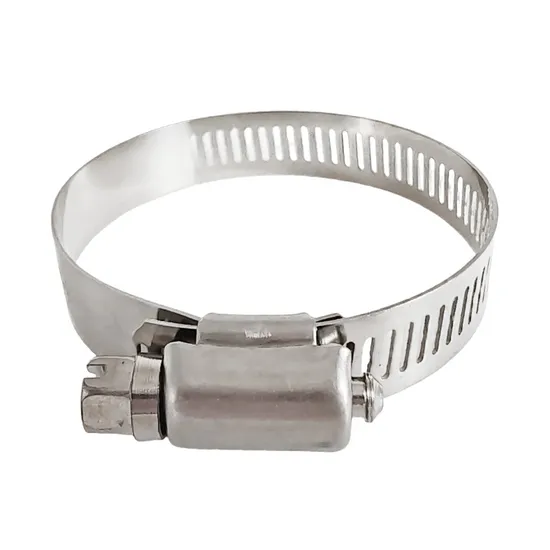 Wholesales High Quality 304 Stainless Steel P Type Clip