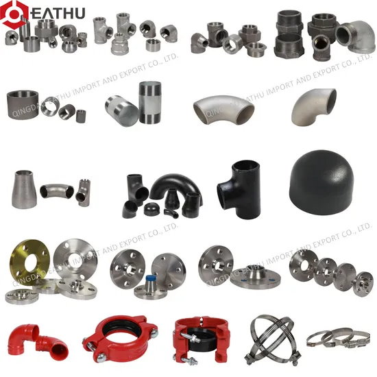 Wholesale 3000lbs 6000lbs High Pressure Stainless Steel Pipe Fittings