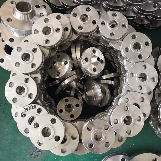 China Manufacture Forged Weld Neck Stainless Steel/Carbon Steel Flange
